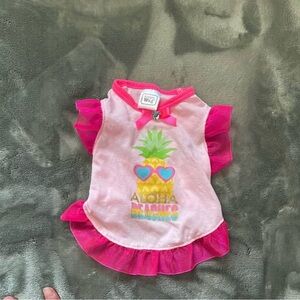 pink pet bundle for taking your pet for a walk